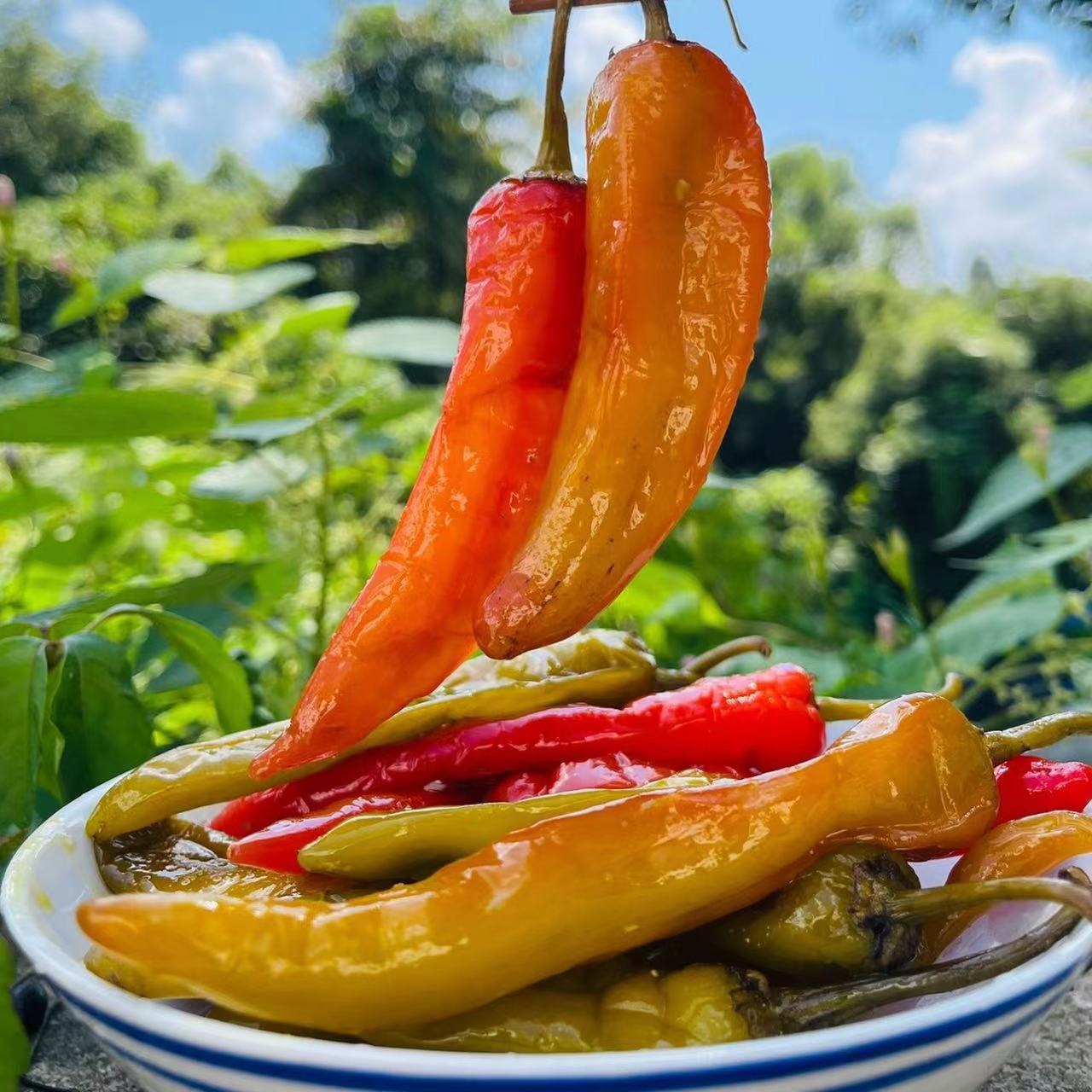 婺源手工酸辣椒农家传统老坛腌制农产品下饭菜酸爽开胃500/袋