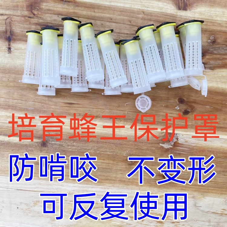 王台保护罩培育蜂王幼虫防咬保护器中蜂意蜂专用育王台基养蜂工具