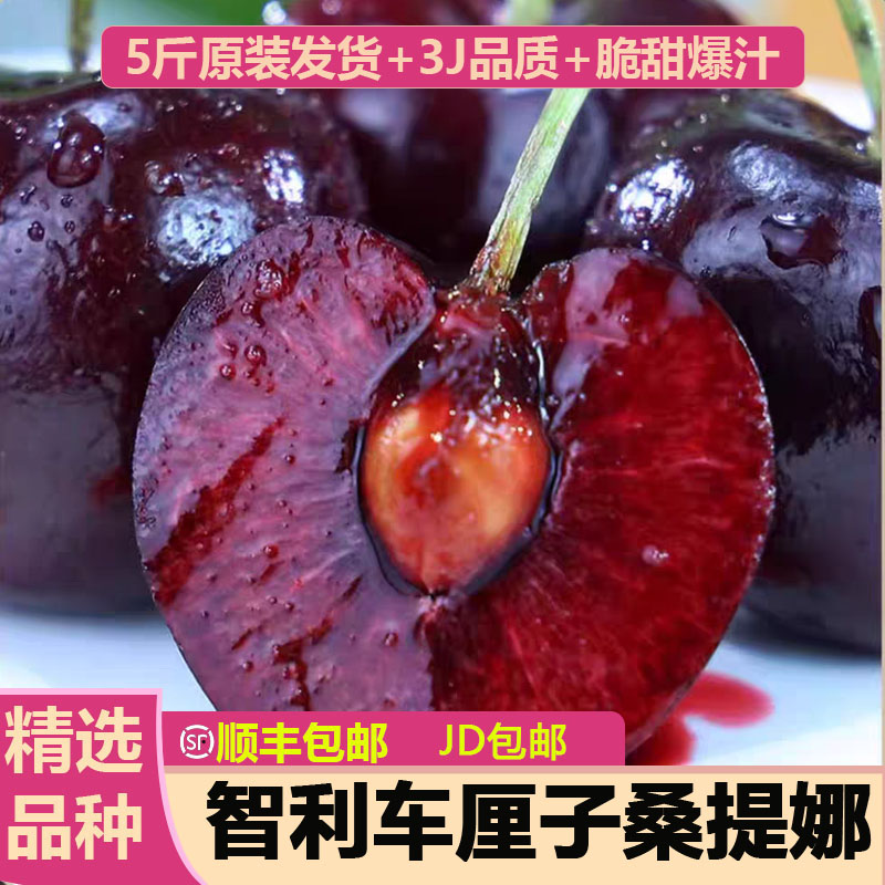【顺丰  京东  特快 包邮】智利进口车厘子桑提娜J/JJ/JJJ原箱5斤ZH