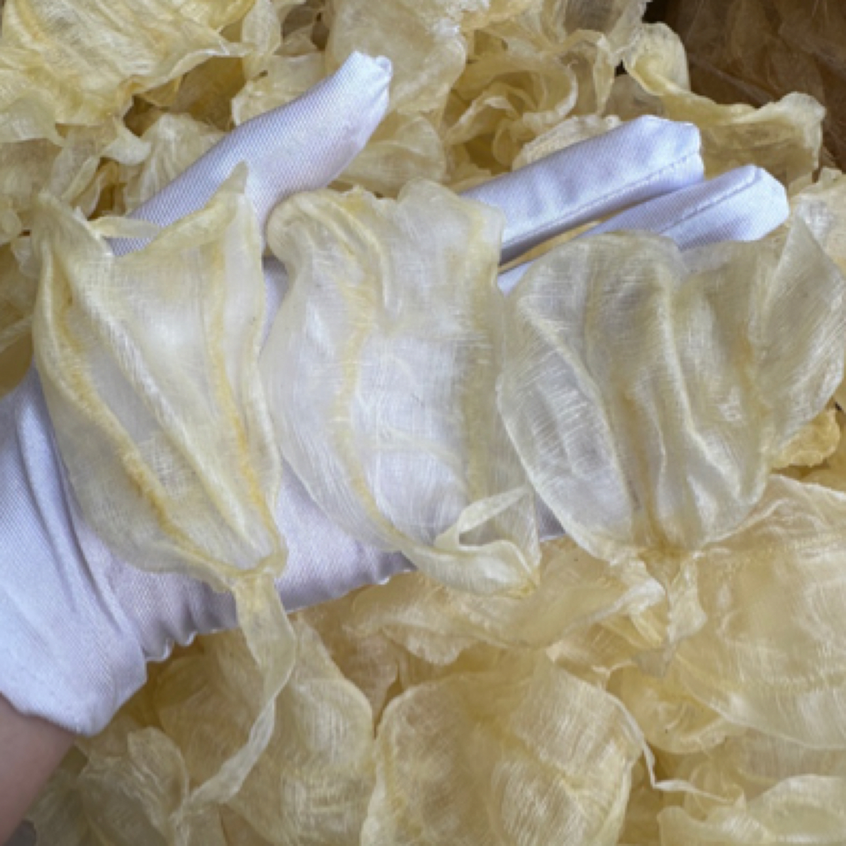 野生白花胶 高端花胶 孕期产后 炖汤炖奶