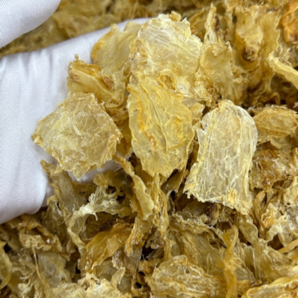 开播福利 南非黄花胶片 100g250g500g