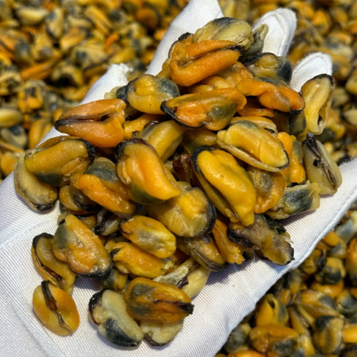 腾晴老友记 淡菜干 海产干货 煲汤煲粥焖煮