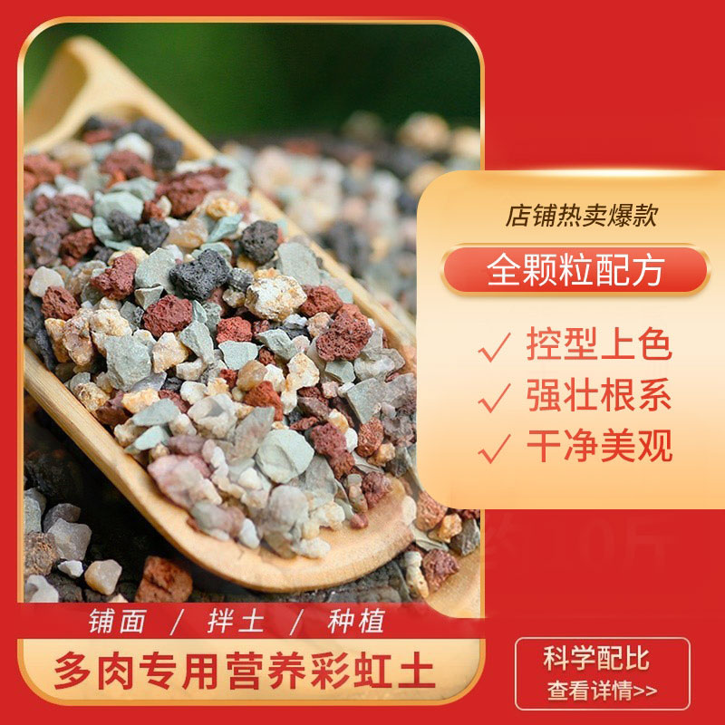 【买5斤送5斤】天然纯颗粒彩虹石多肉专用颗粒种植土透气铺面营养土
