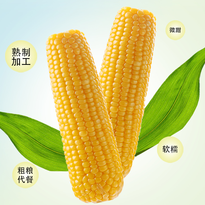 杨嘉庆东北黄糯玉米甜糯玉米甜糯代餐开袋即食玉米软糯香甜10支