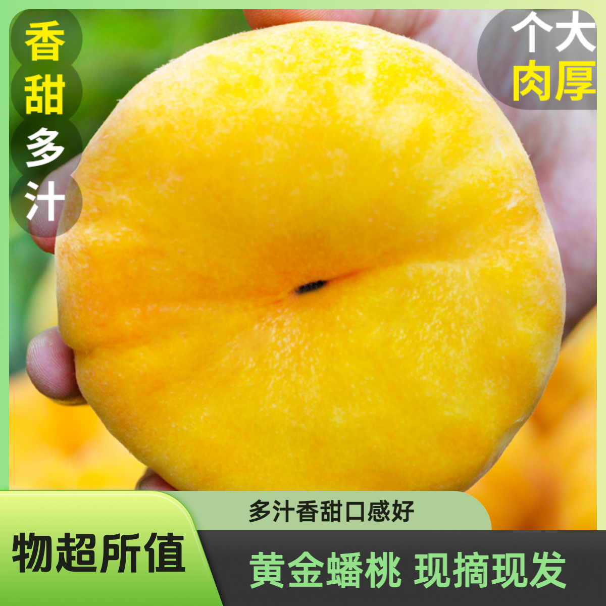 蒙阴黄金蟠桃 新鲜现摘应季水果 新鲜黄桃蜜桃黄蟠桃