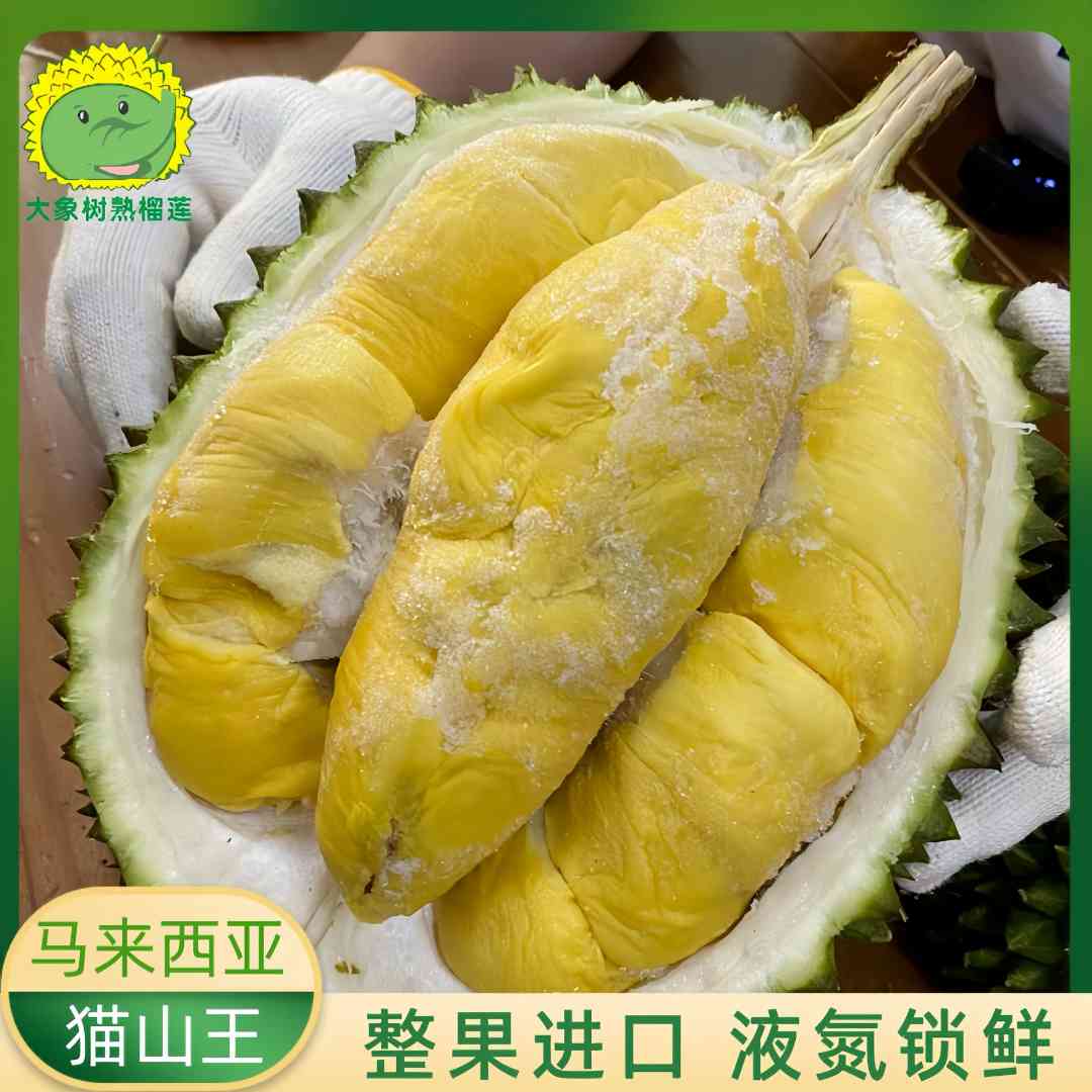 【青岛市北】液氮猫山王（4-4.5斤 ）马来西亚猫山王榴莲 青岛小时达【大象树熟榴莲】