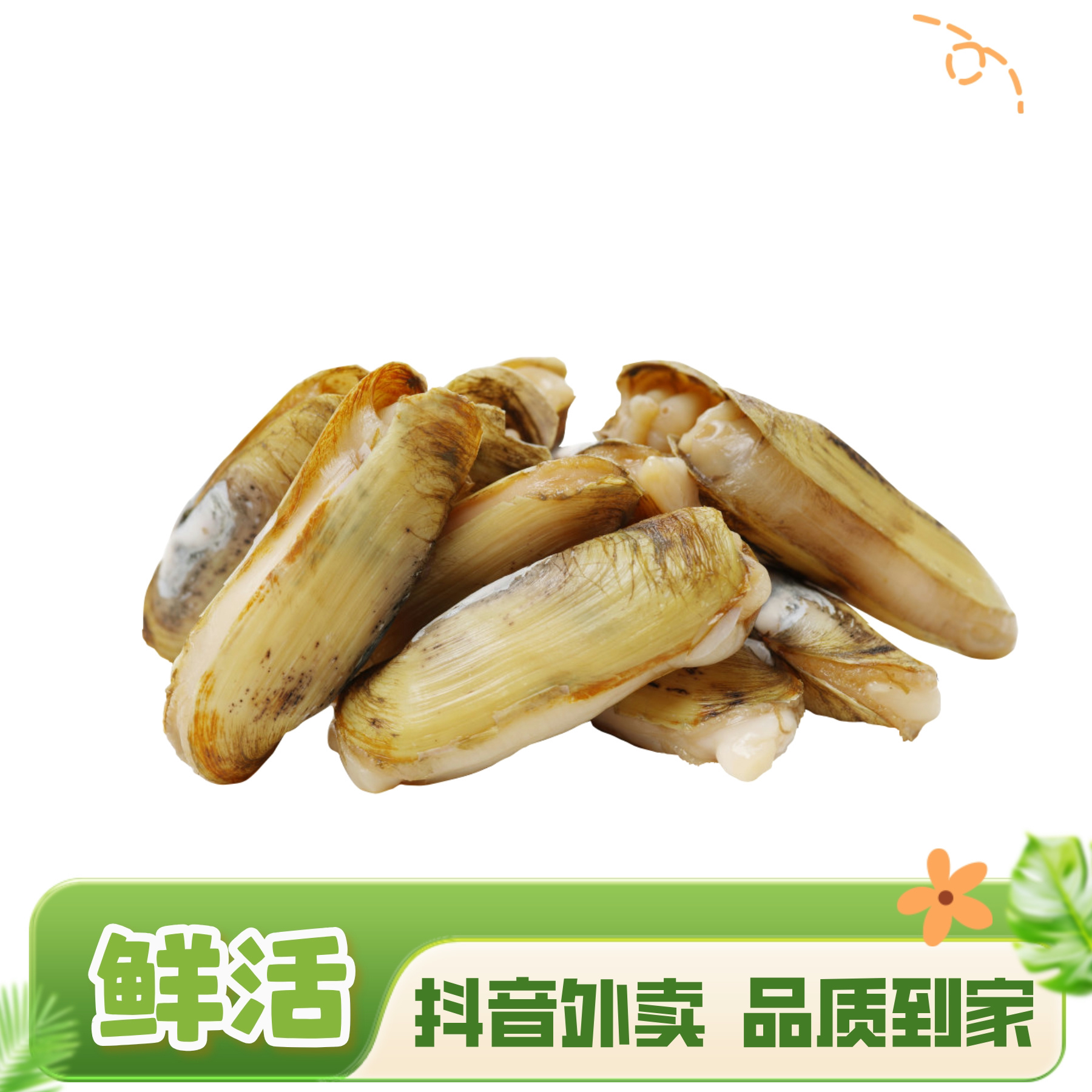 鲜活无沙蛏子 250g/500g