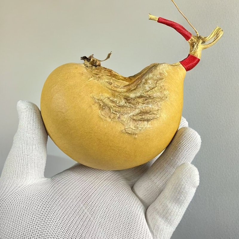 文玩葫芦葫芦手把件葫芦工艺品一代蚂蚁葫芦摆件选拍链接复古创意