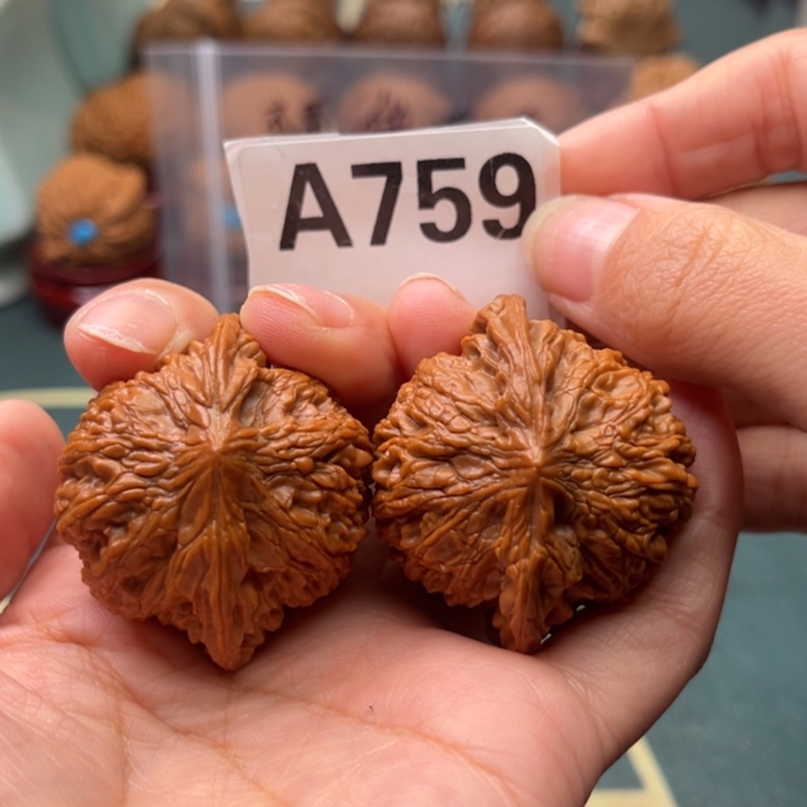 【闪购商品】文玩核桃手串满天星42