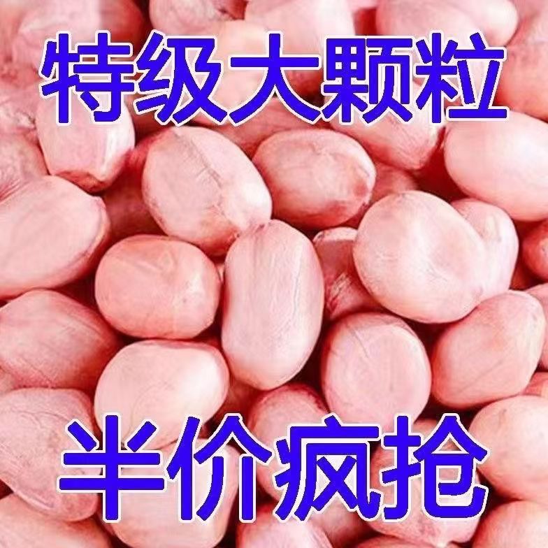 2023年新货现剥花生米特级粉皮新鲜大粒花生米不带壳榨油白沙花生