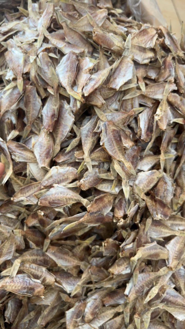 渔民自晒淡干剥皮鱼