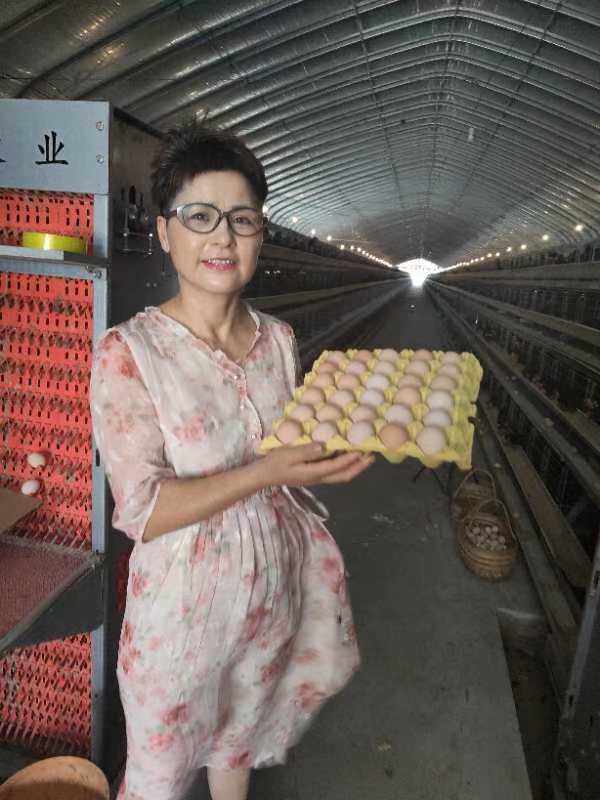 （燕犇犇）笼养农场直发正宗土鸡蛋（10个1斤）50枚现捡现发