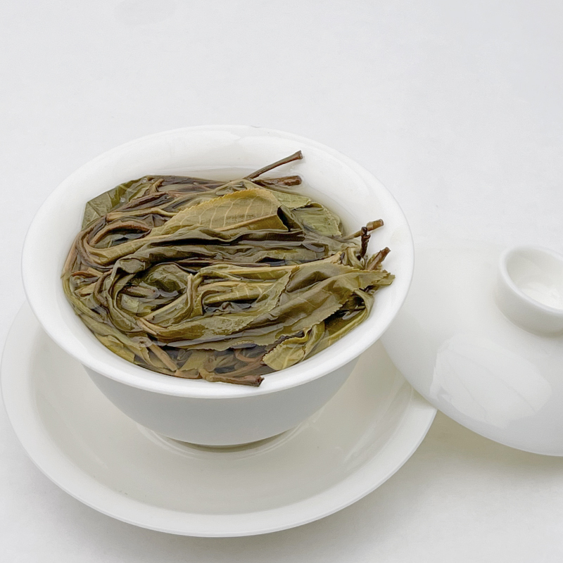 临时链接冰韵伍山2024年春小户赛普洱生茶100克饼