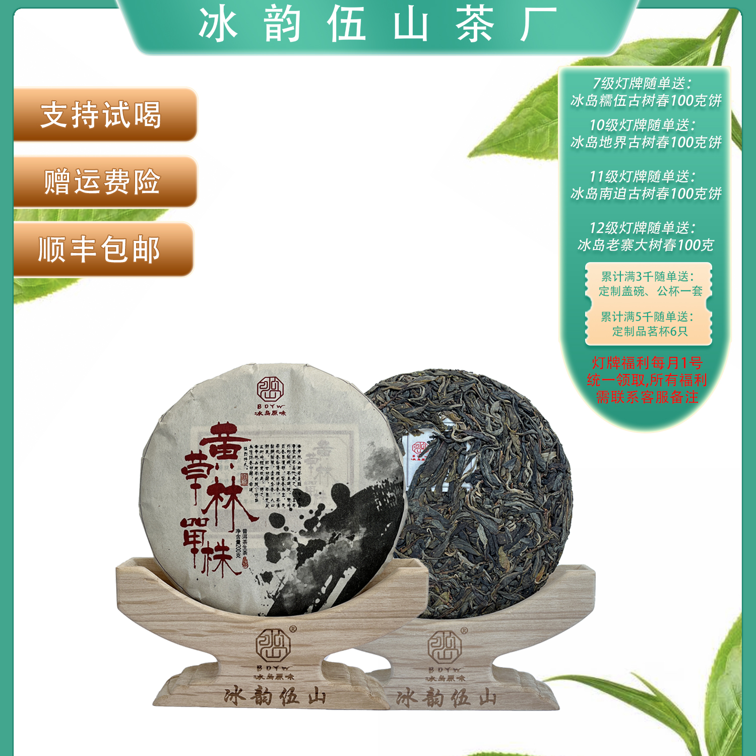 冰韵伍山 2023年春 黄草林单株100g  200g饼茶 普洱生茶