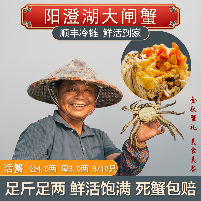 【活蟹】阳澄湖大闸蟹老龚家 公蟹4两 母蟹3两 共8只/10只 塘养