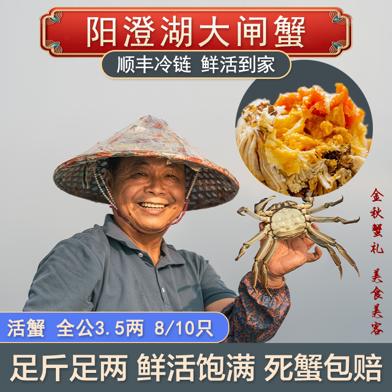 【活蟹】 阳澄湖大闸蟹老龚家 成熟全公蟹尝鲜3.5两 8只/10只 塘养