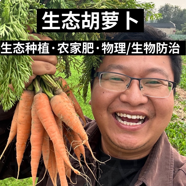 【生态胡萝卜】窖藏老品种 天然营养优选