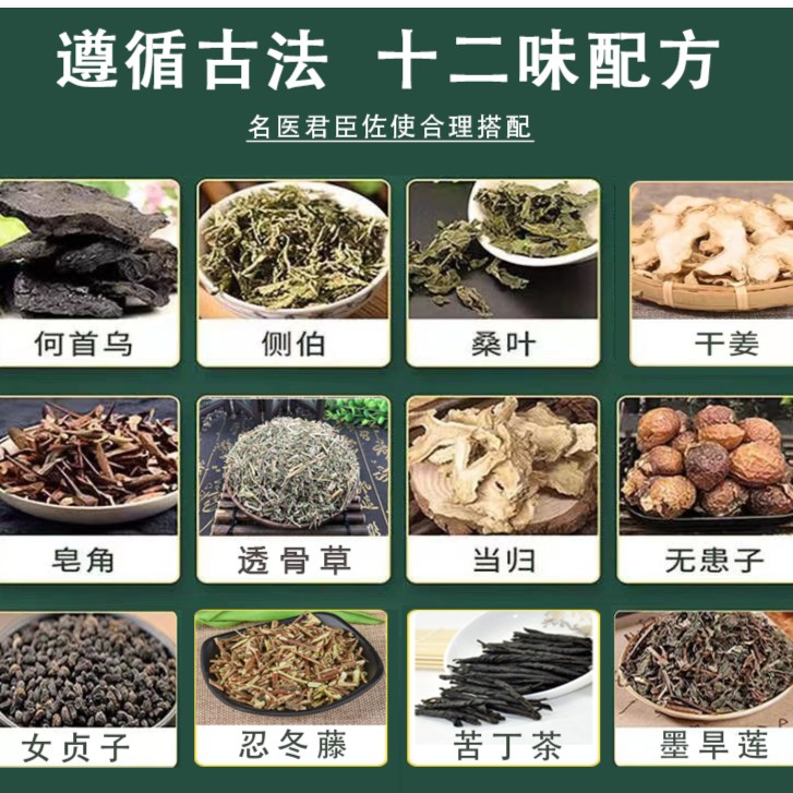 侧柏皂角首乌墨旱莲女贞子生姜十味植物