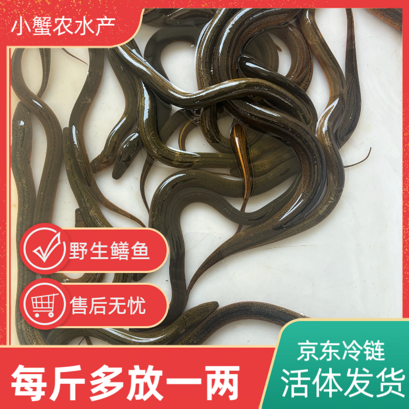 一物一拍 直播间改价