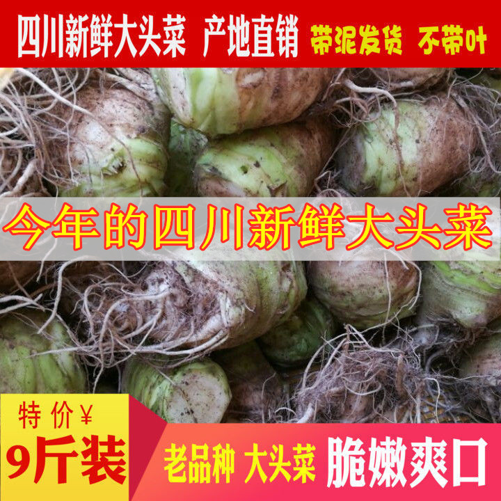 【四川大头菜】老品种3/5/9斤芥菜疙瘩咸菜农家蔬菜现摘新鲜发货