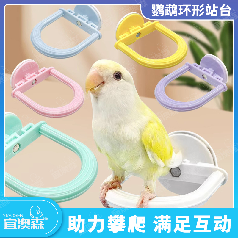 鹦鹉小鸟缤纷色彩环形站架鸟站架防滑站杆防水站杆棍耐啃咬