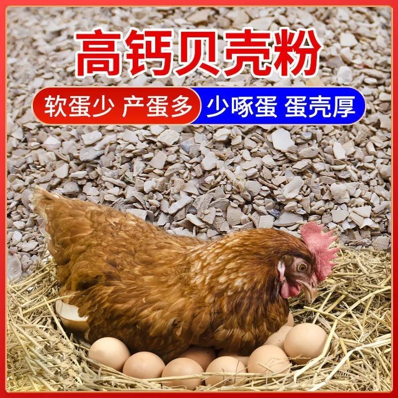 芦丁鸡贝壳粉饲料畜禽高钙牡蛎粉鸡鸭鸟鸽子贝壳粉饲料补钙预混料