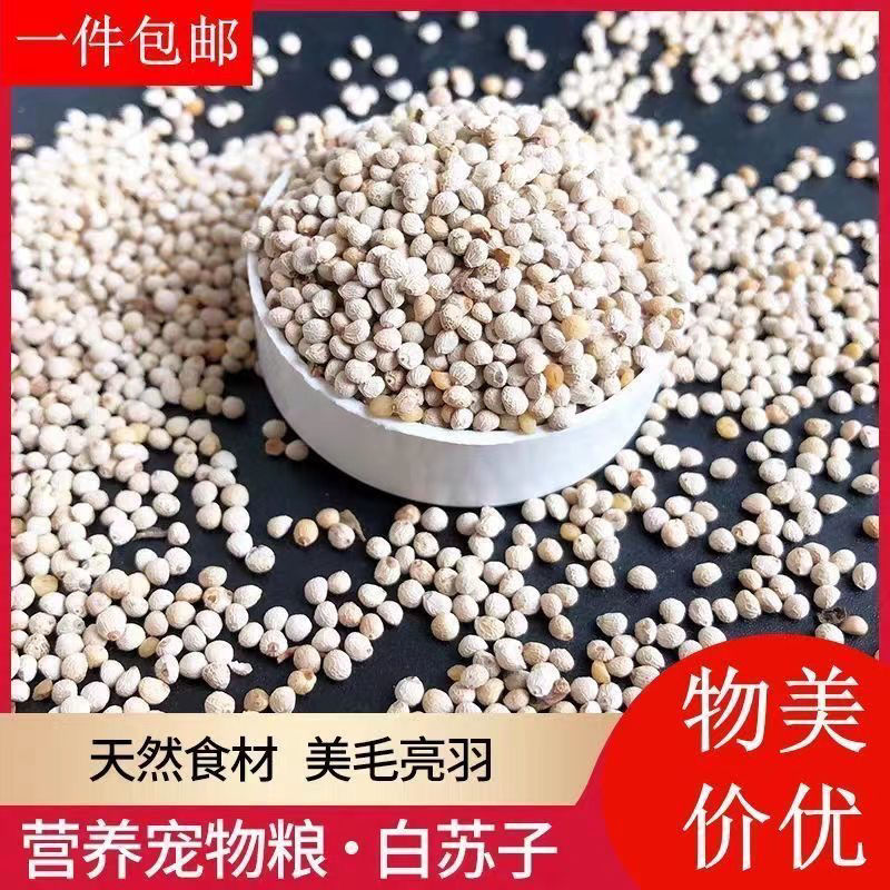 新货苏子白苏子鹦鹉软苏子鸟食鸟粮宠物饲料鹦鹉芙蓉鸟文鸟十姐妹