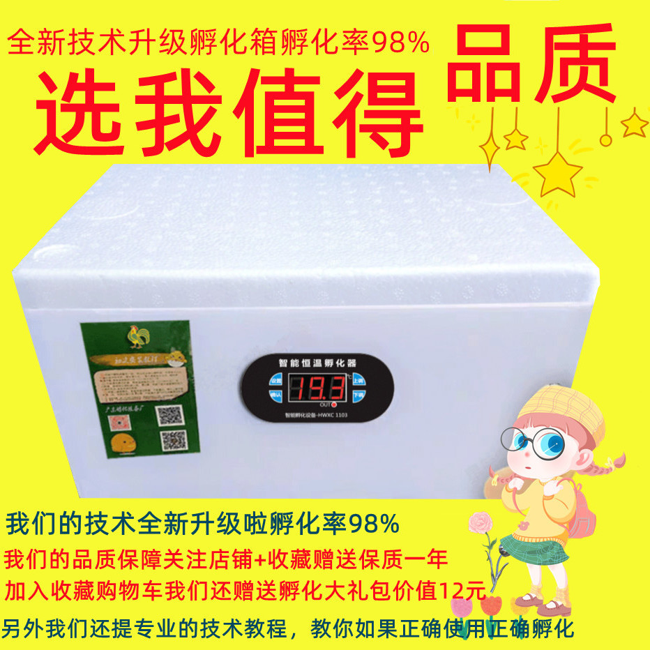 芦丁鸡孵化器迷你水床孵化机全自动智能孵蛋芦丁鸡鹅鸟蛋孵化箱