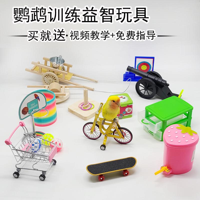 鹦鹉益智玩具互动训练道具训鸟用品玄凤虎皮牡丹自行车篮球滑板
