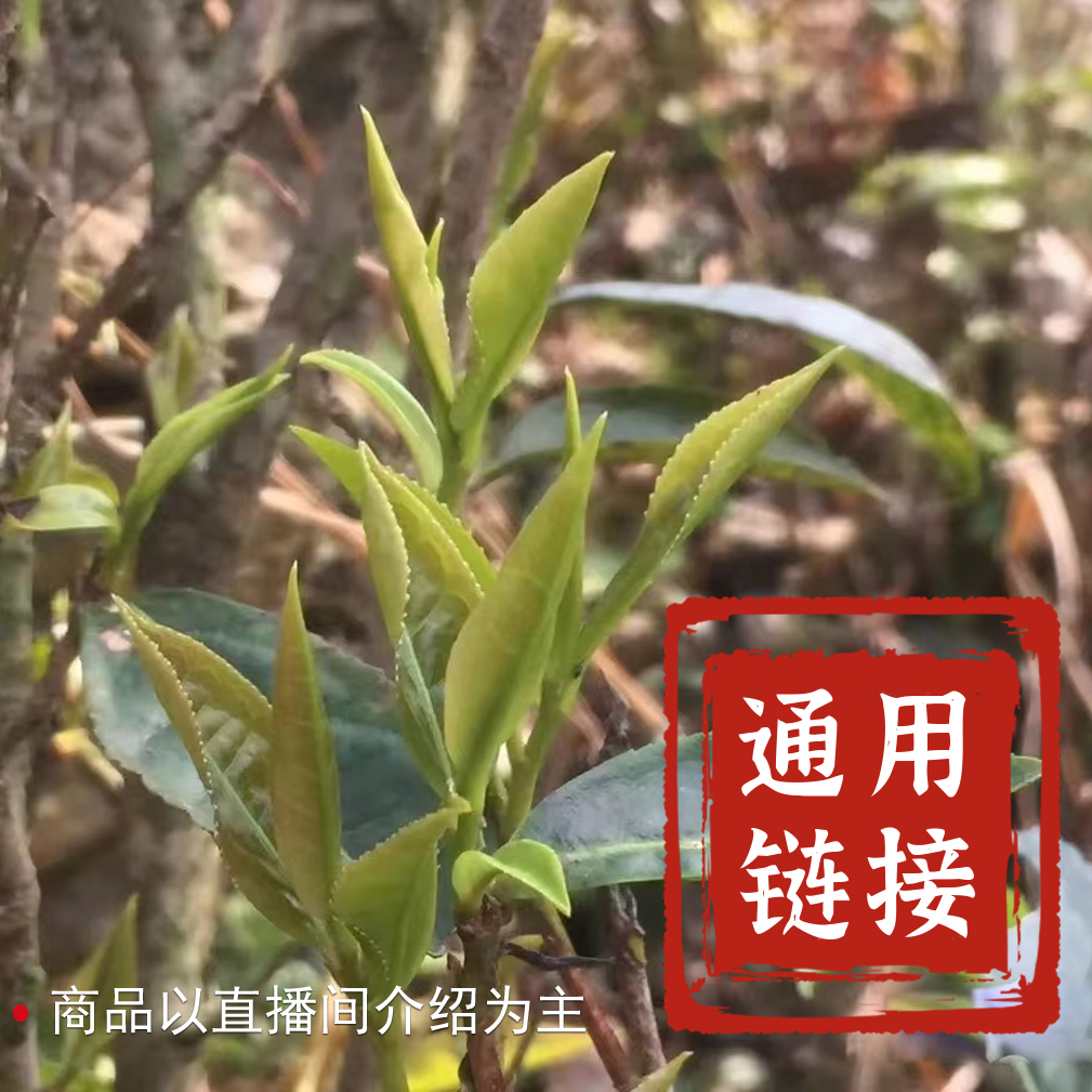 纯好六堡茶岁末礼包9