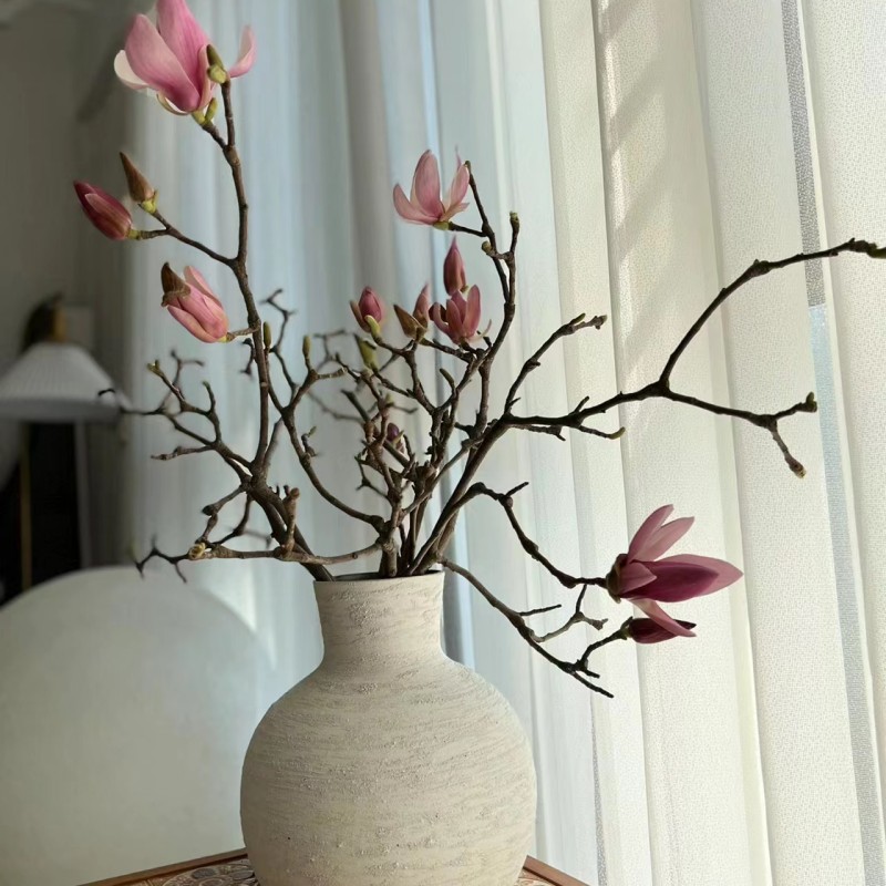 【拾花拾木】玉兰花 鲜花云南鲜花