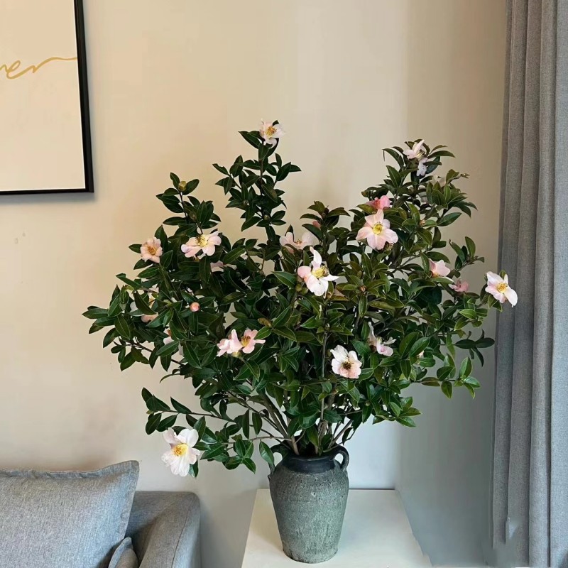 【拾花拾木】山茶花 鲜花云南鲜花