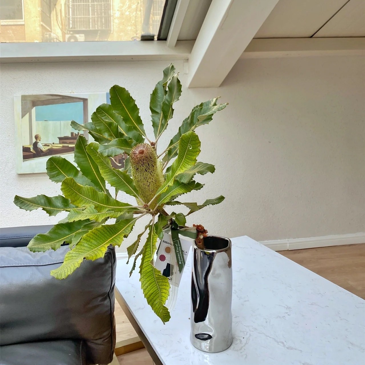 【拾花拾木】进口 班克木 贝克斯 鲜花云南鲜花