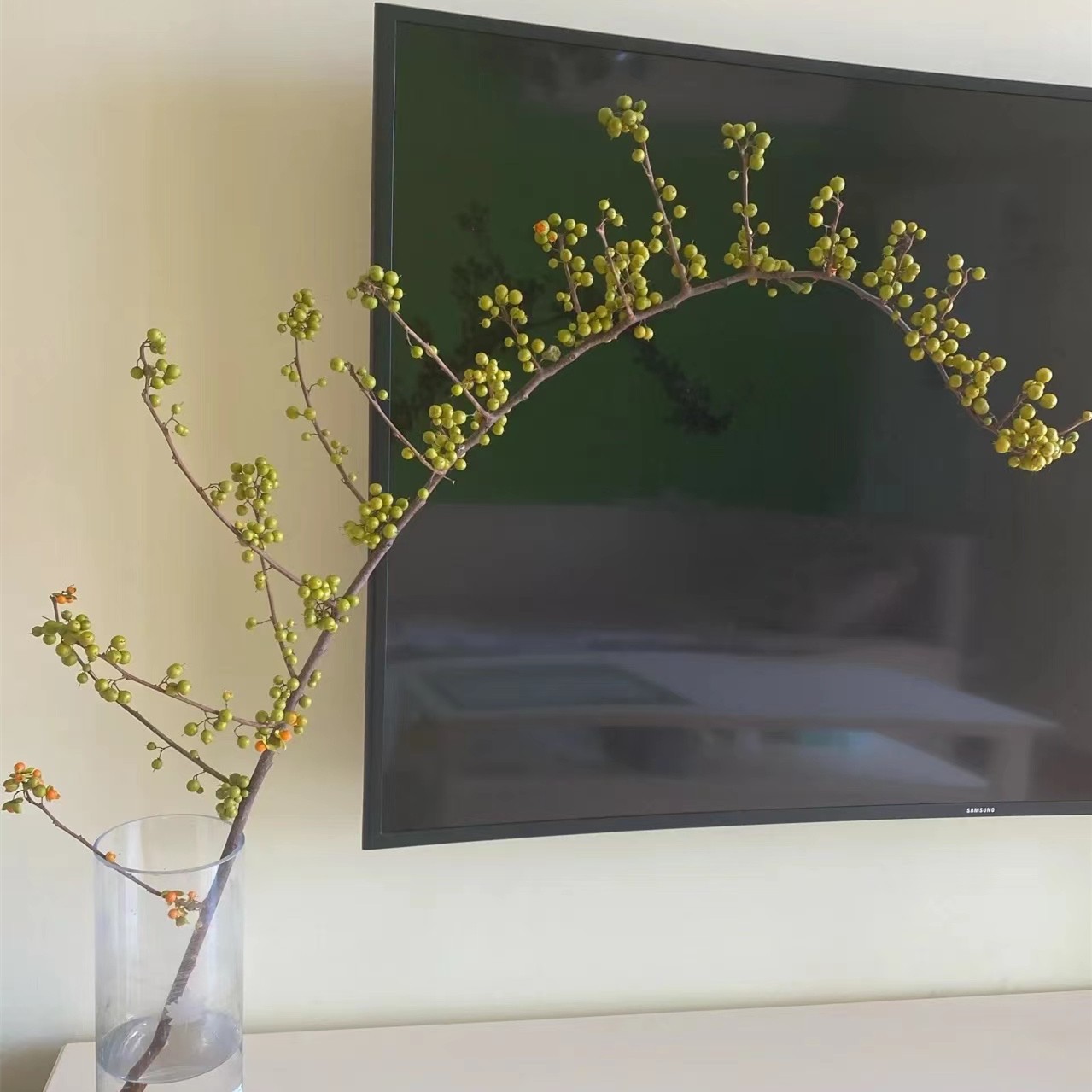 【拾花拾木】 南蛇藤 鲜花云南鲜花