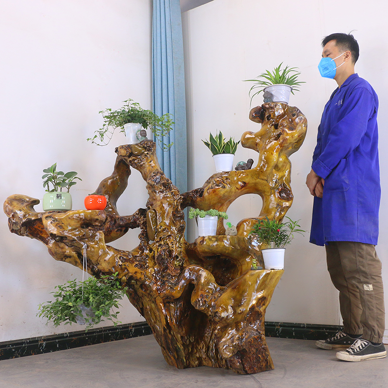 自然原木根雕花架天然树根阳台盆景架香樟木花架木头摆件MH7734