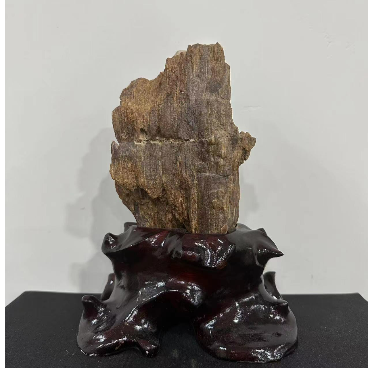 恒丰珠宝商行优选树化玉造型景观意境奇石家居精美摆件奇石8