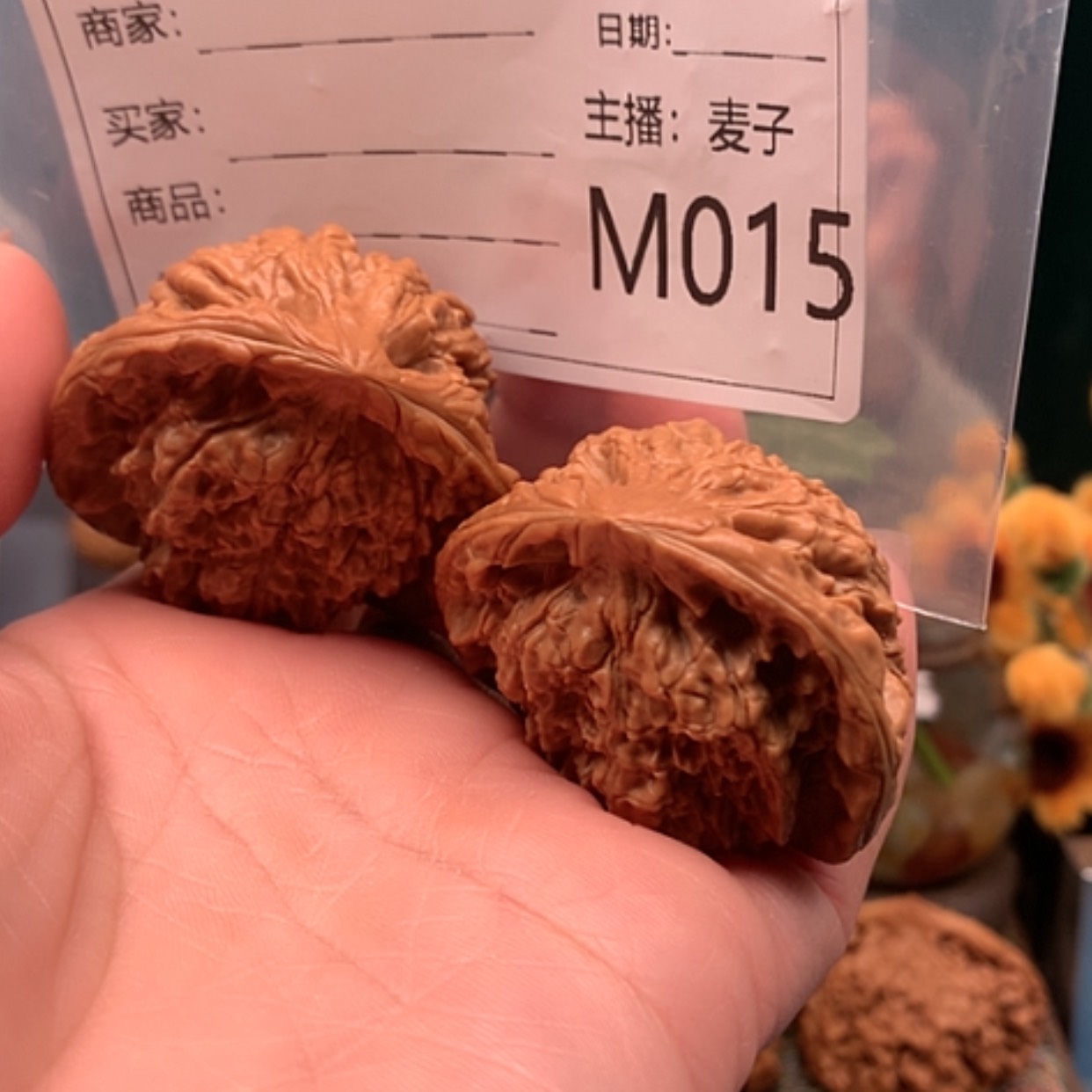 【闪购商品】正蛇蛇蛇