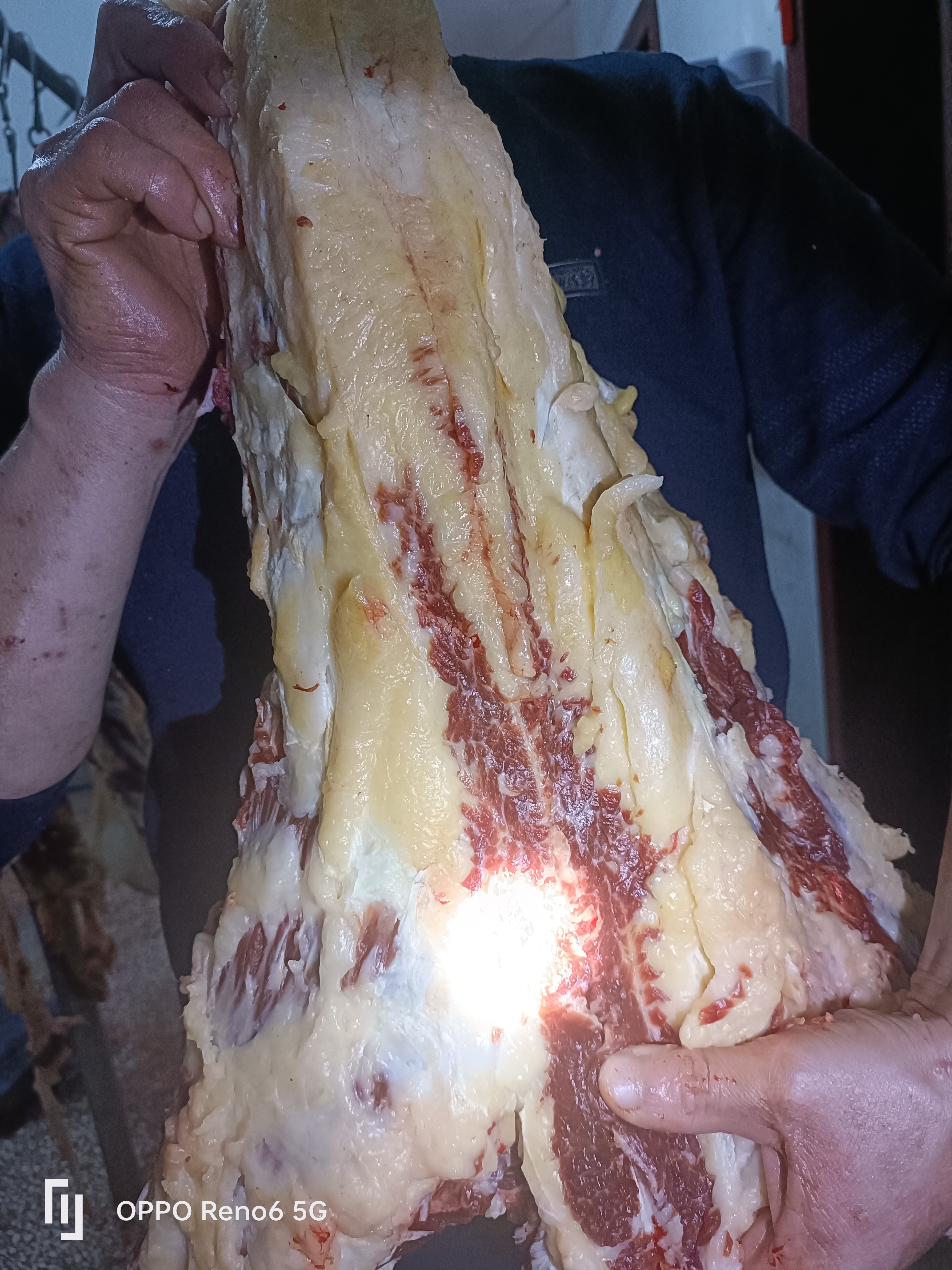 襄回人家清真燕翅胸骨烧炖烤牛蝎子牛脊骨牛肉