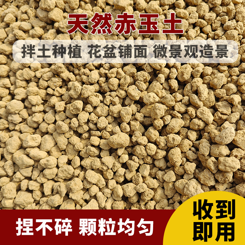 进口三本赤玉土颗粒土壤养花兰花铺面保水保肥利于生根养殖促进