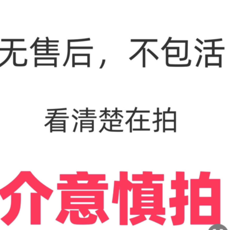 三角梅稀优品三角梅福利款，无售后，不包活。