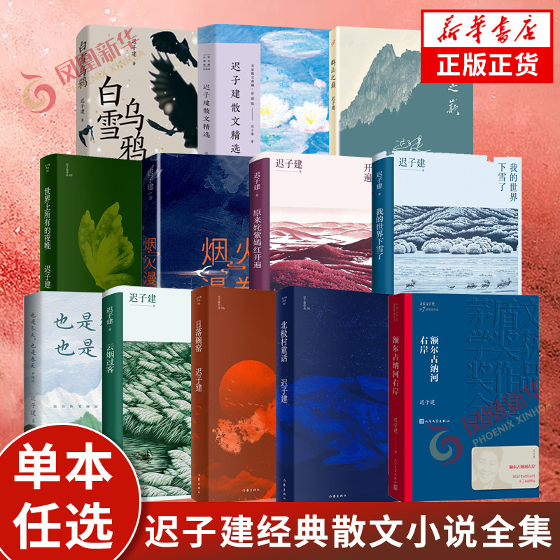 【单本任选】 迟子建作品集散文小说合集也是冬天也是春天烟火漫卷