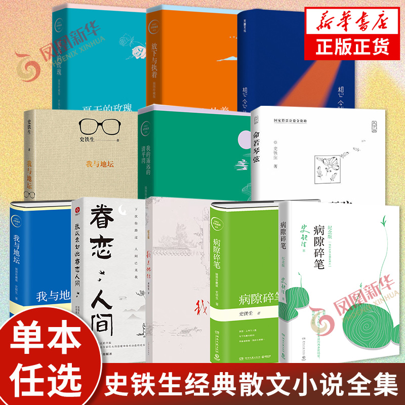 【单本任选】史铁生作品散文小说合集 我与地坛务虚笔记病隙碎笔