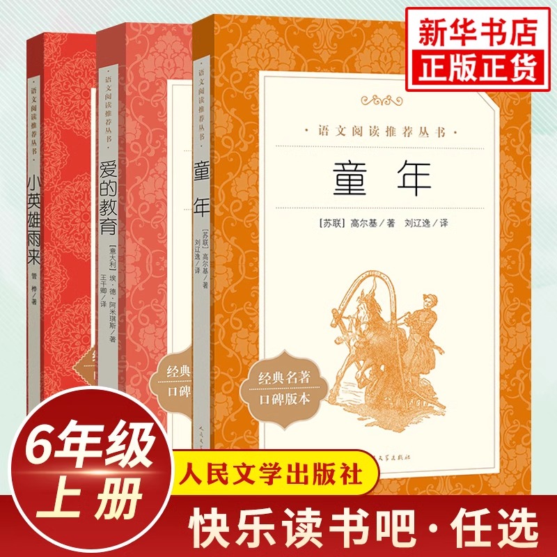 童年爱的教育小英雄雨来快乐读书吧小学生阅读课外书正版书籍