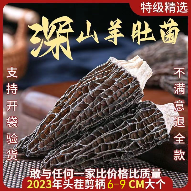 2023年云南特级头茬 羊肚菌 20g 煲汤菌菇类新鲜蘑菇枣 产地直发
