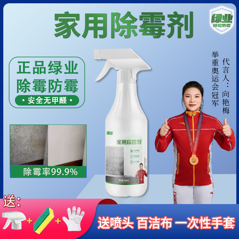 绿业【杀菌率99.9%】家用除霉剂 墙面墙体除霉剂 防霉发霉霉斑霉点