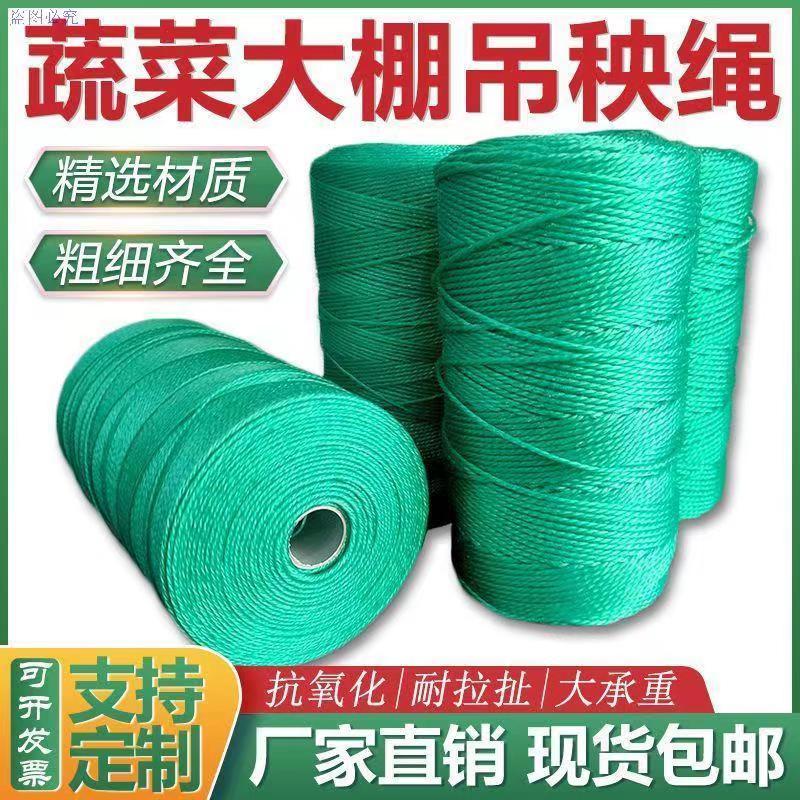 大棚吊秧绳尼龙绳豆角西红柿黄瓜蔬菜绑蔓绳爬藤网拉绳电工穿引绳