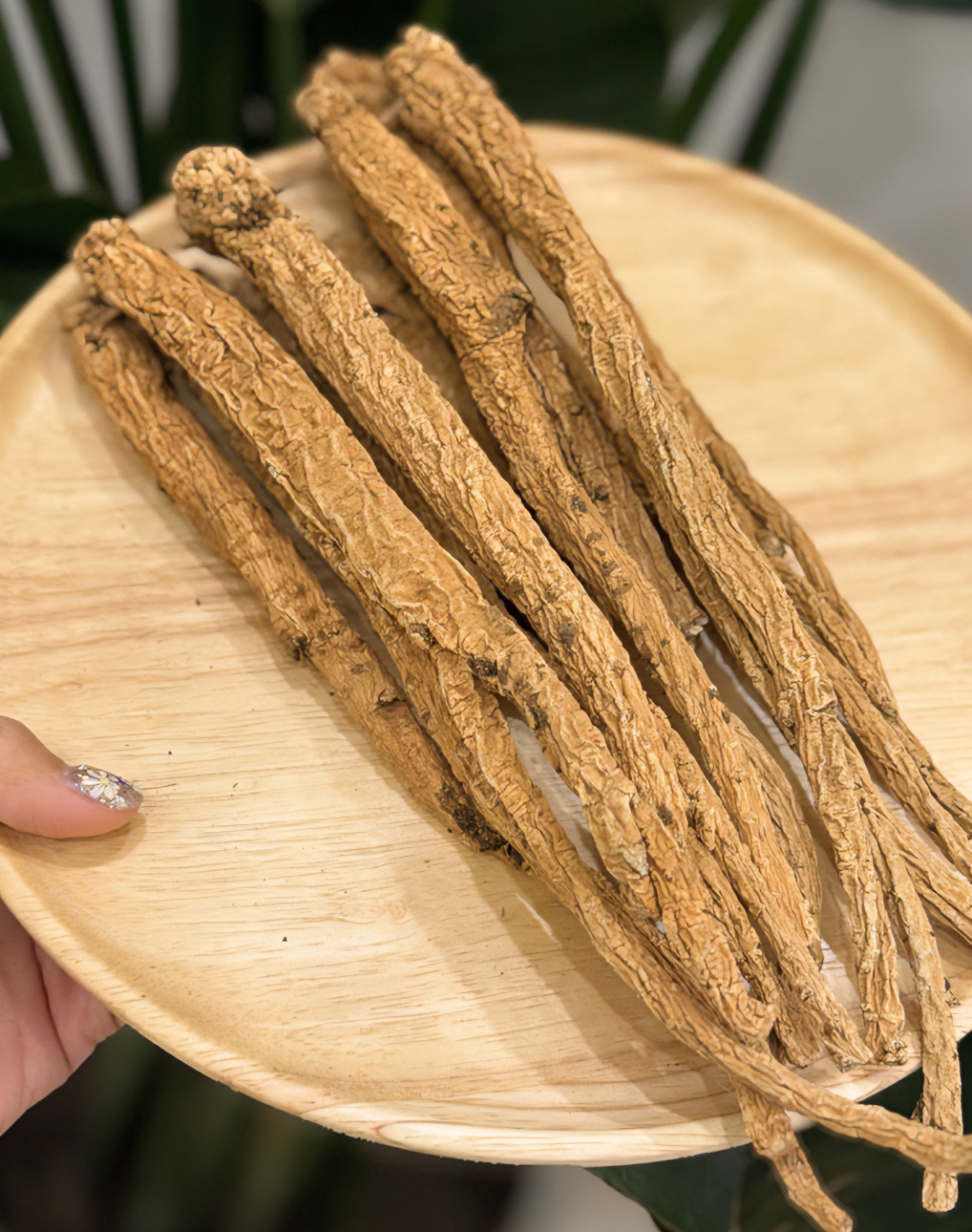 元气四宝茶 九润堂 精选 无硫 党参 250g/500g-WX