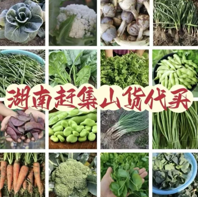 【乡里幺妹】湖南山货土特产赶集现场代购