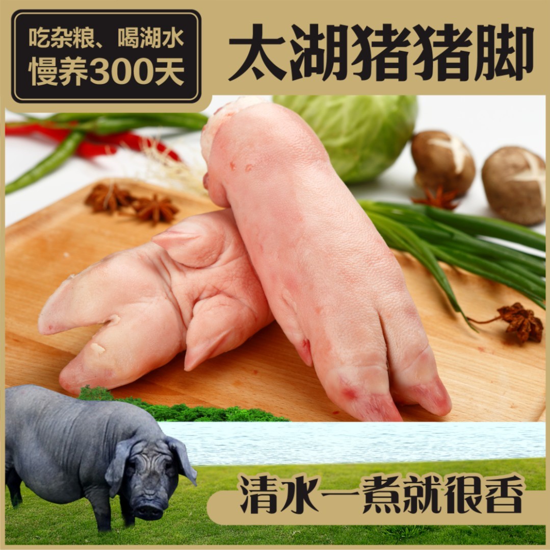 太湖猪本土黑猪土猪猪蹄猪脚中前脚后脚混搭卤猪蹄汤5斤猪肉