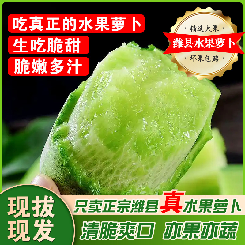 天星2号 水果萝卜山东潍坊水果萝卜去皮生吃清甜酥脆多汁现拔现发